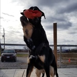 Meet your Posher, Celia